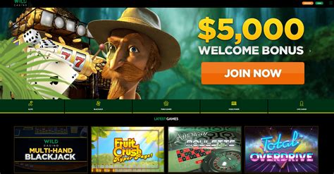 wildcasino.com