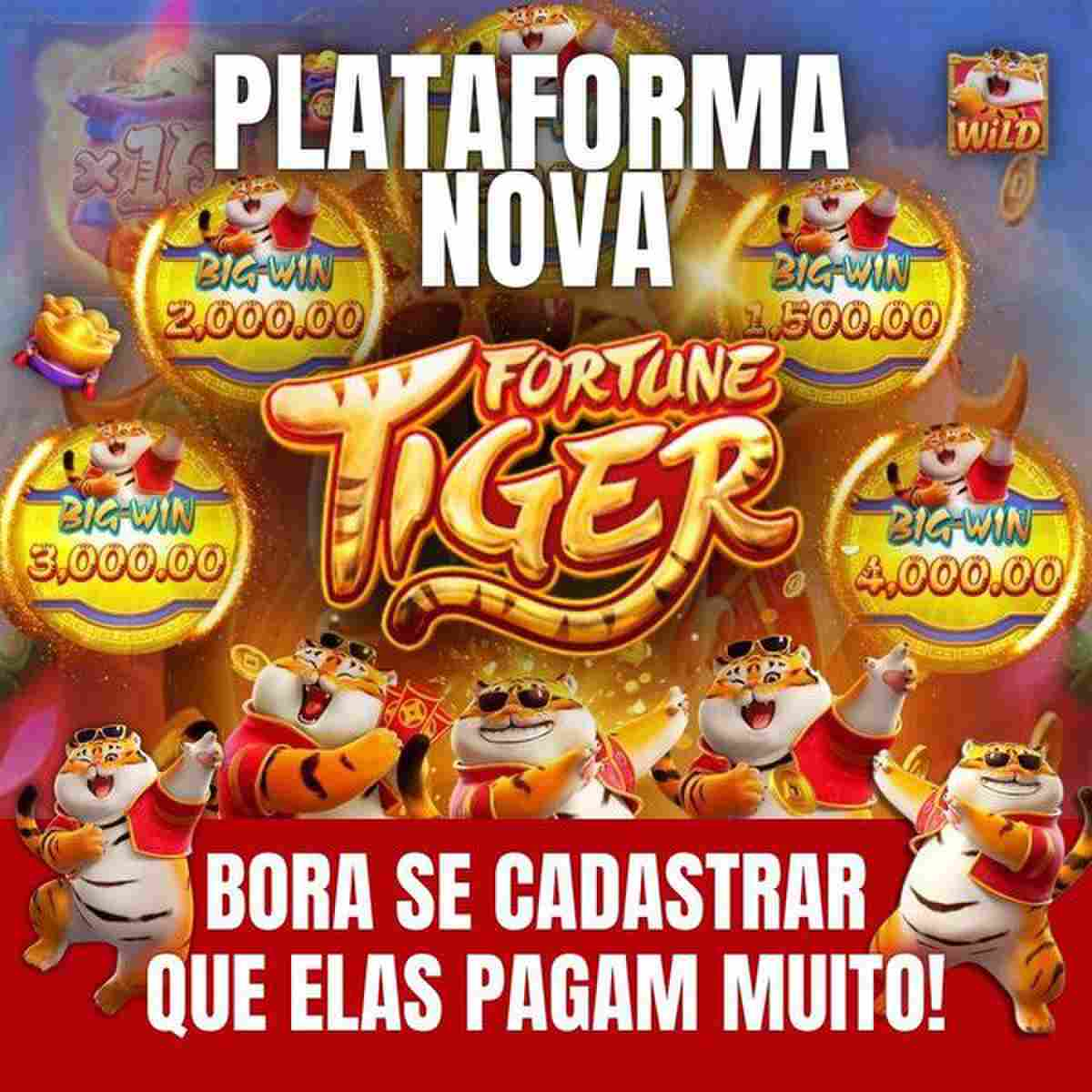 tigre bet